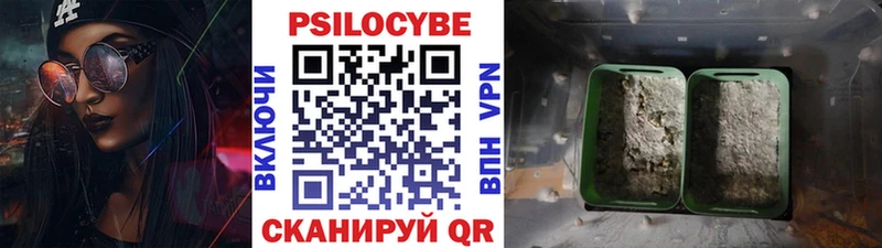 даркнет какой сайт  Ленинск-Кузнецкий  Галлюциногенные грибы Psilocybe 
